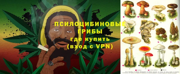 apvp Абаза