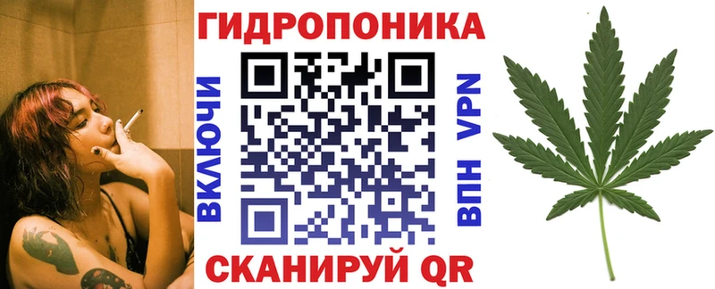 Канабис OG Kush  блэк спрут ONION  Ак-Довурак 